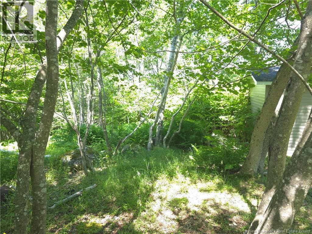 90 Crowley Road, photo 9