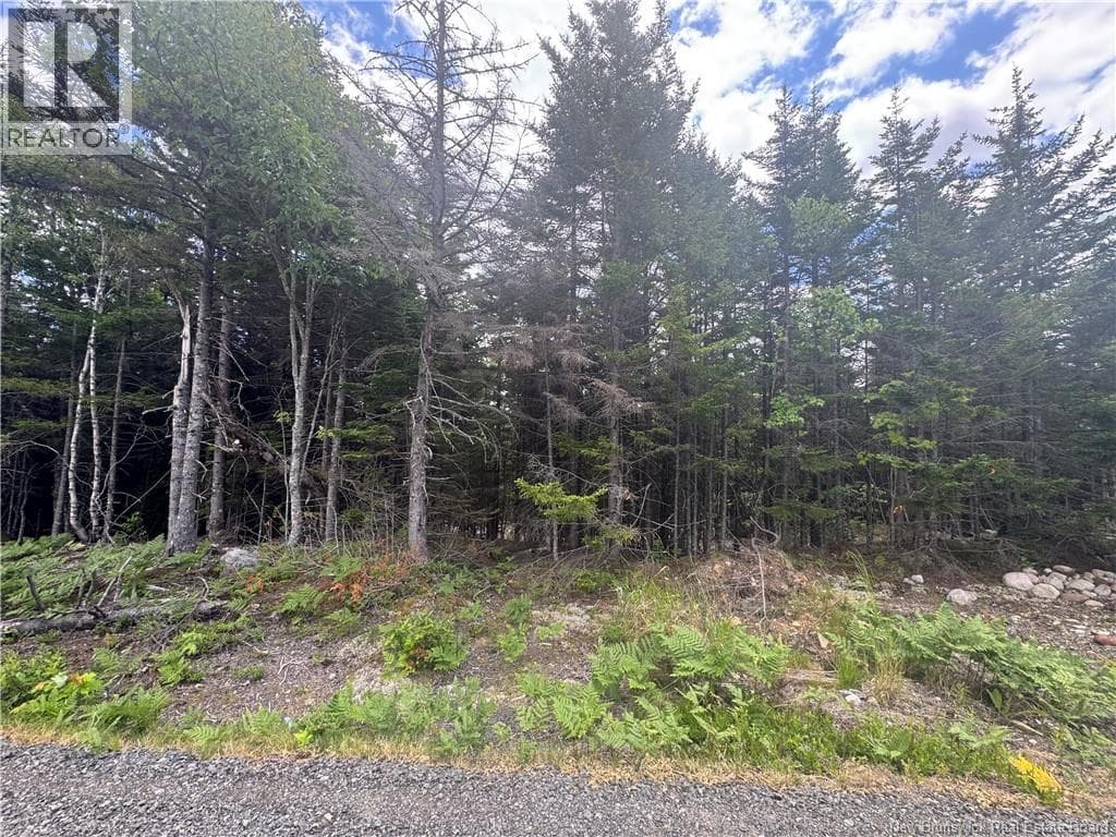 2768 Route 790, photo 6