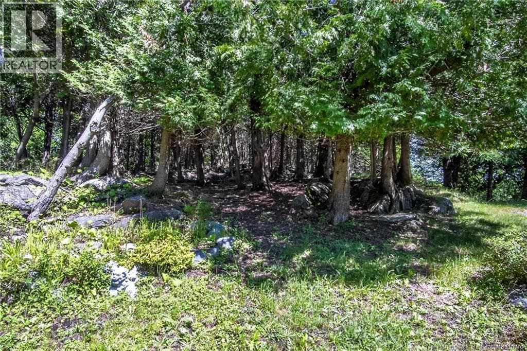 175 Highland Road, photo 38