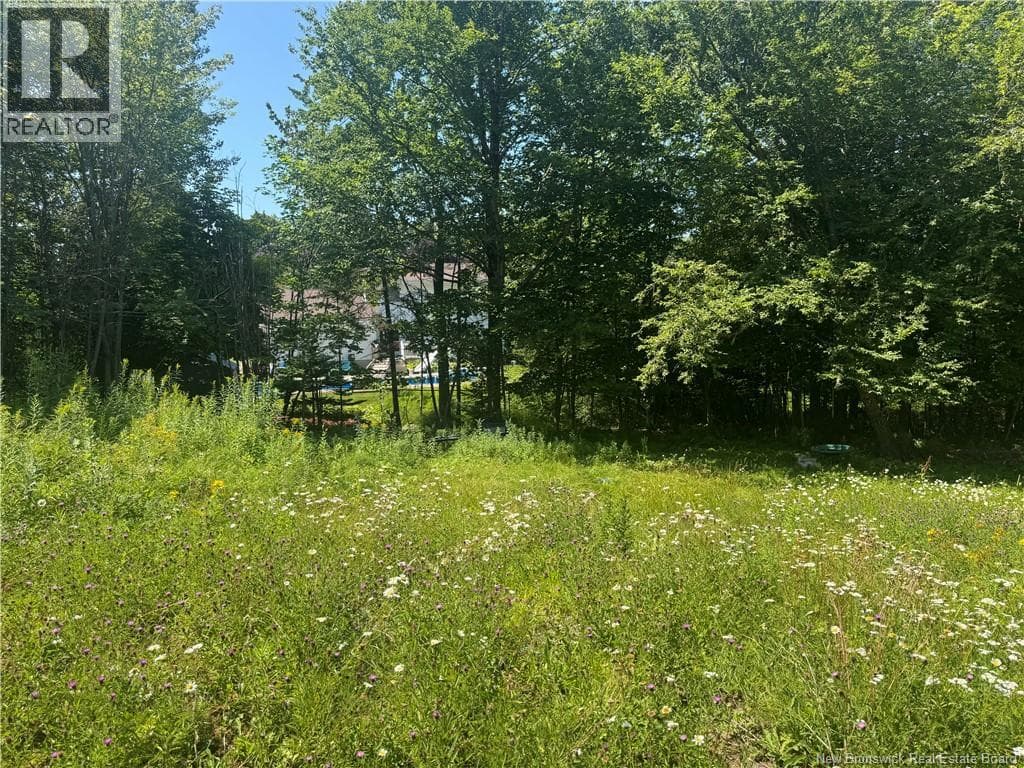 16 Clark Road, photo 12