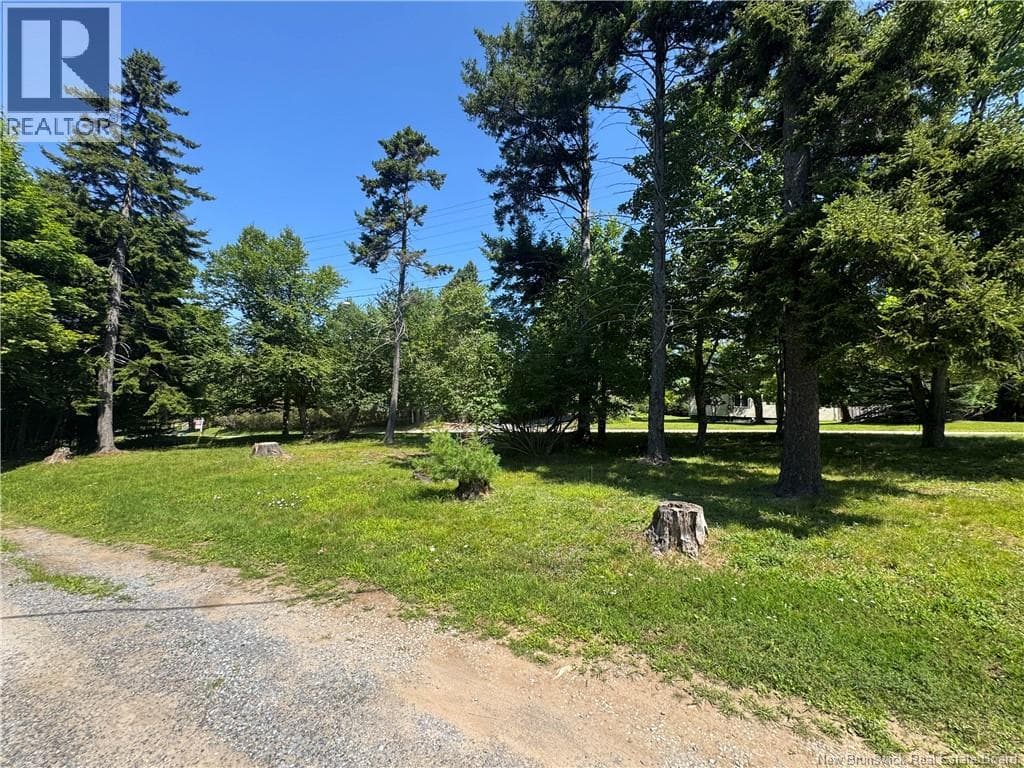 16 Clark Road, photo 16