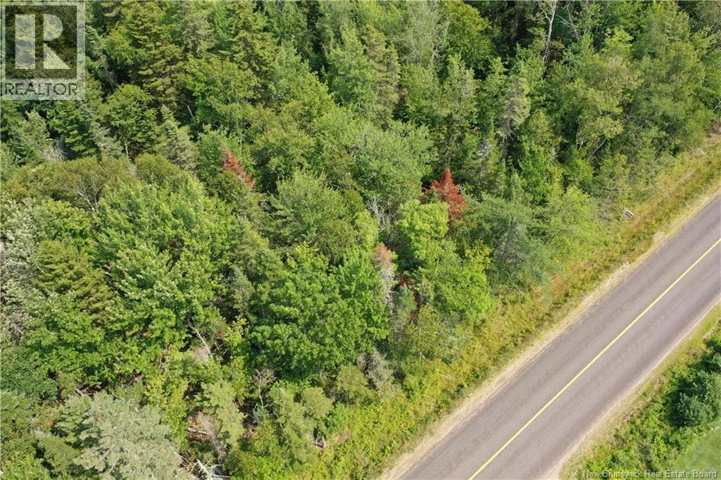 Lot 26-10 Route 855, photo 6