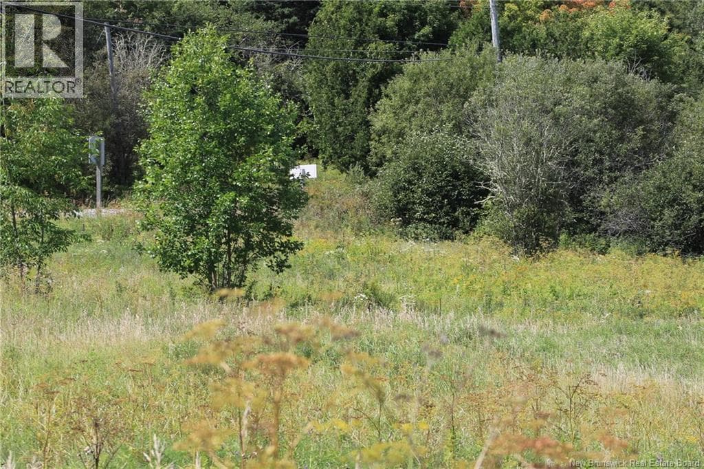 LOT Route 845, photo 11