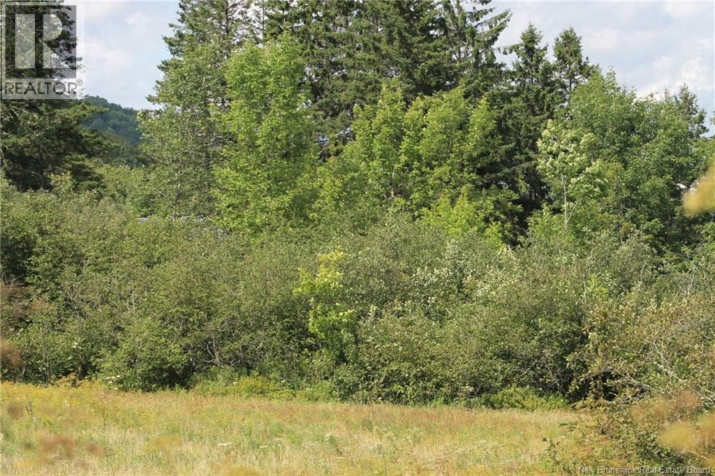 LOT Route 845, photo 12