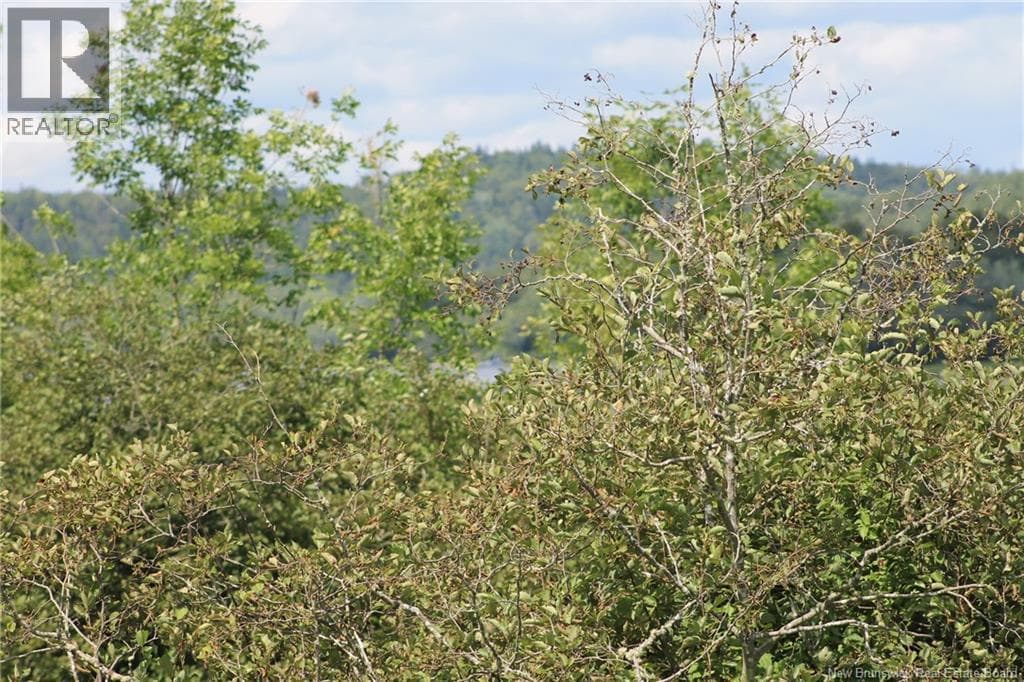 LOT Route 845, photo 8