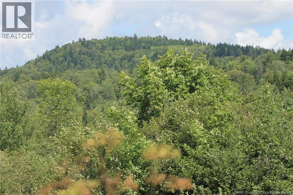 LOT Route 845, photo 9