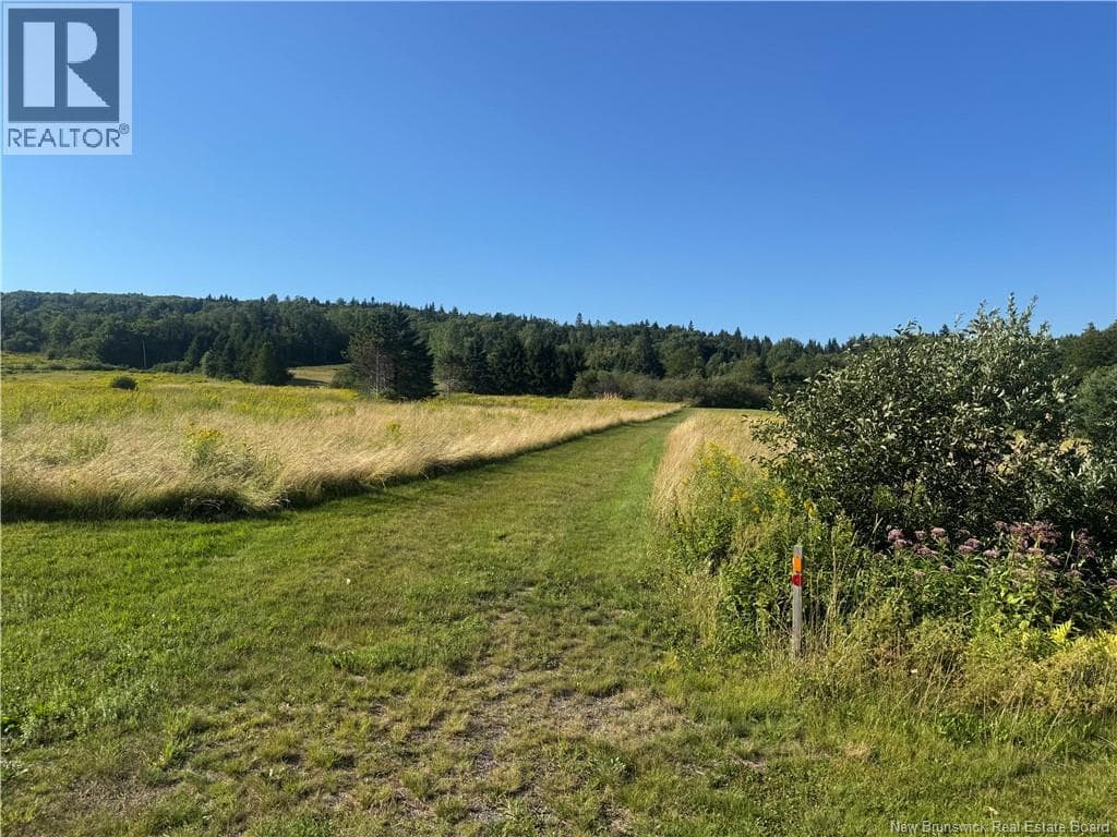 VACANT LOT Big Salmon River Road, photo 2