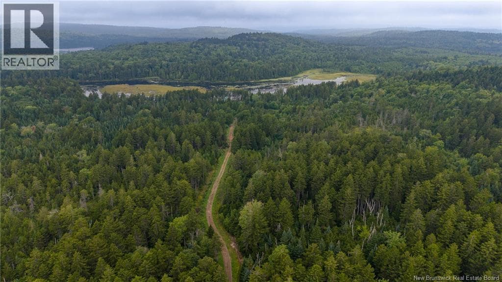 Lot and Camp Route 845, photo 48
