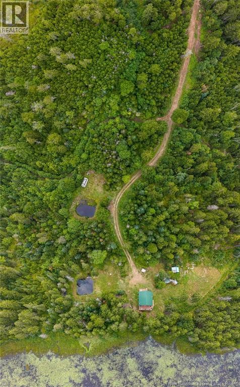 Lot and Camp Route 845, photo 43