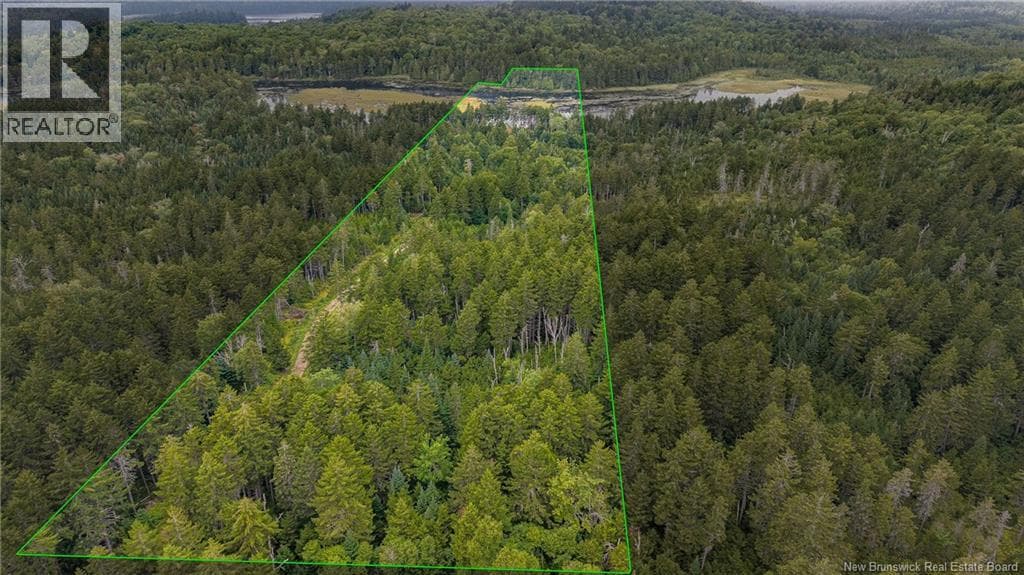 Lot and Camp Route 845, photo 45