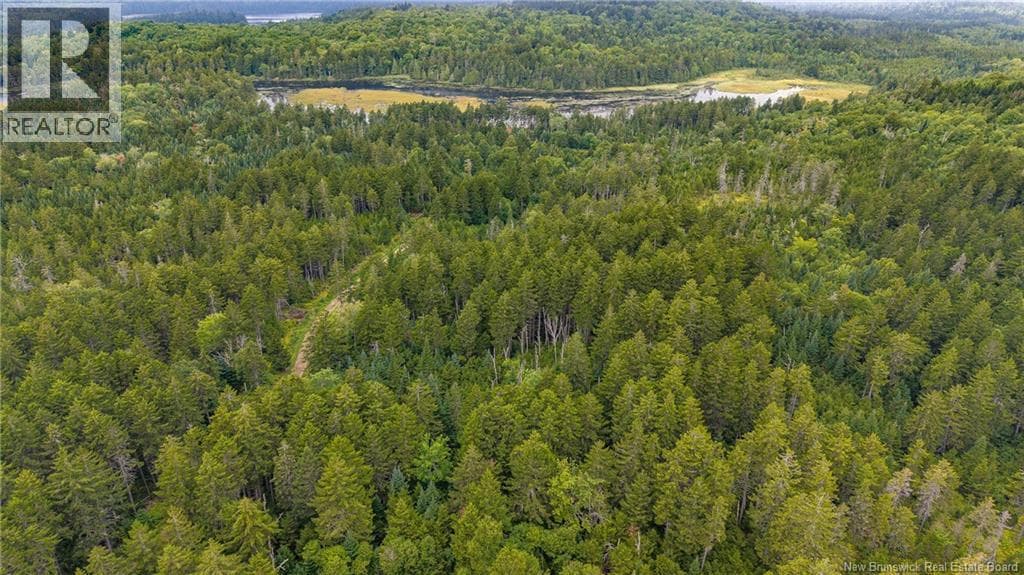 Lot and Camp Route 845, photo 46