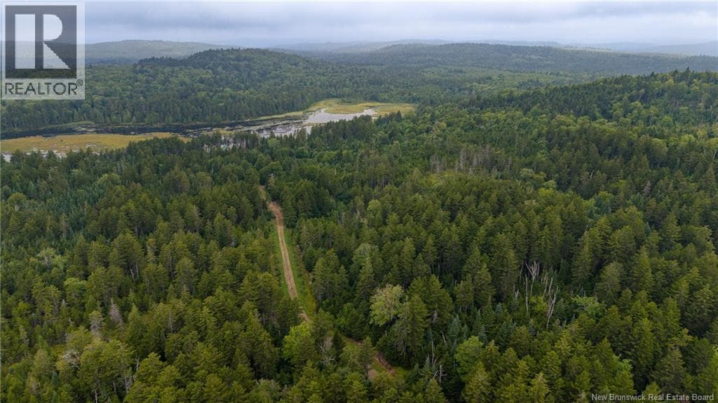 Lot and Camp Route 845, photo 49