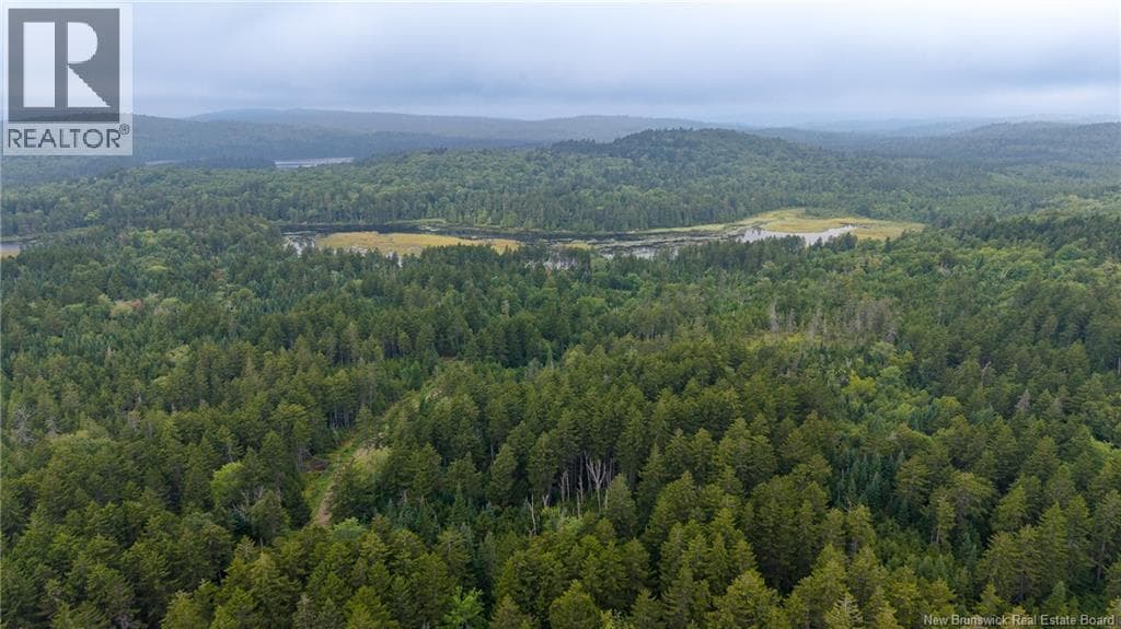 Lot and Camp Route 845, photo 47