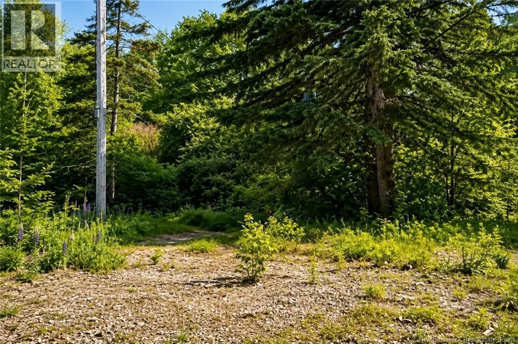 Welsford Station Road, photo 2