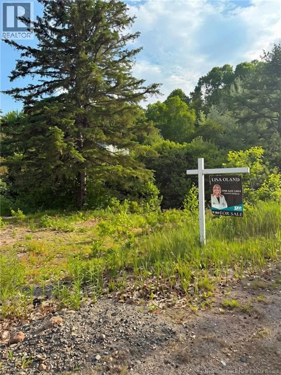 Welsford Station Road, photo 7