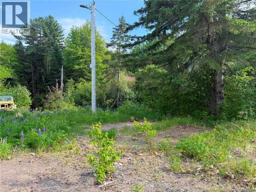 Welsford Station Road, photo 11