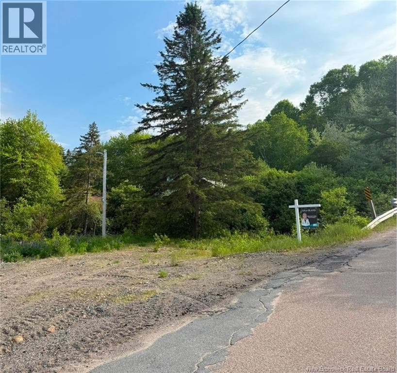 Welsford Station Road, photo 3