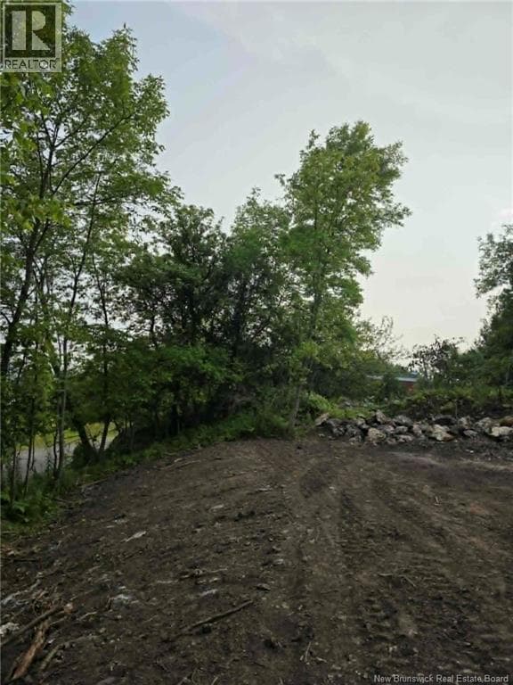 363 Highland Road, photo 4