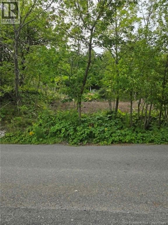 363 Highland Road, photo 7
