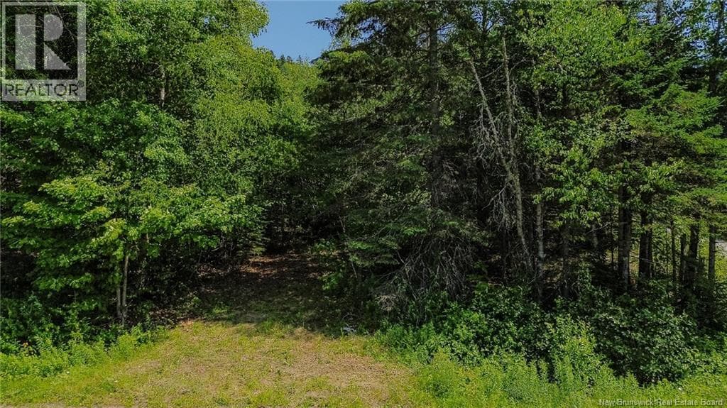 Vacant Land Route 845, photo 4