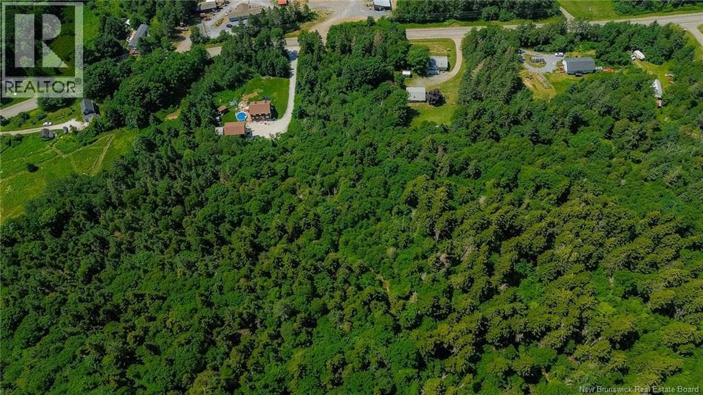 Vacant Land Route 845, photo 3