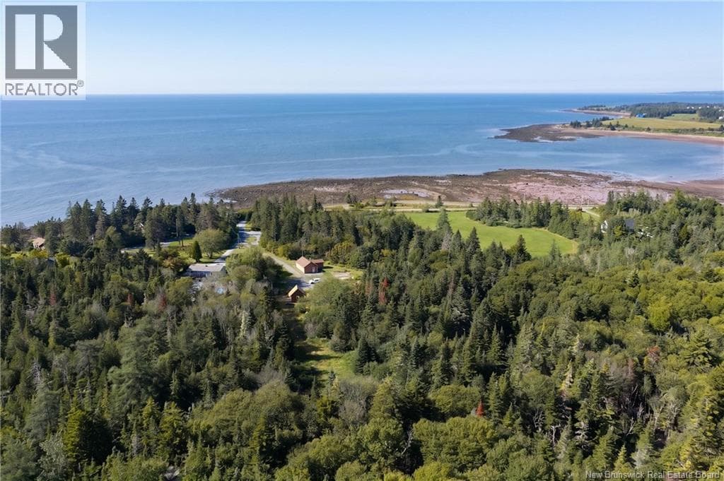 224 Anthonys Cove Road, photo 41