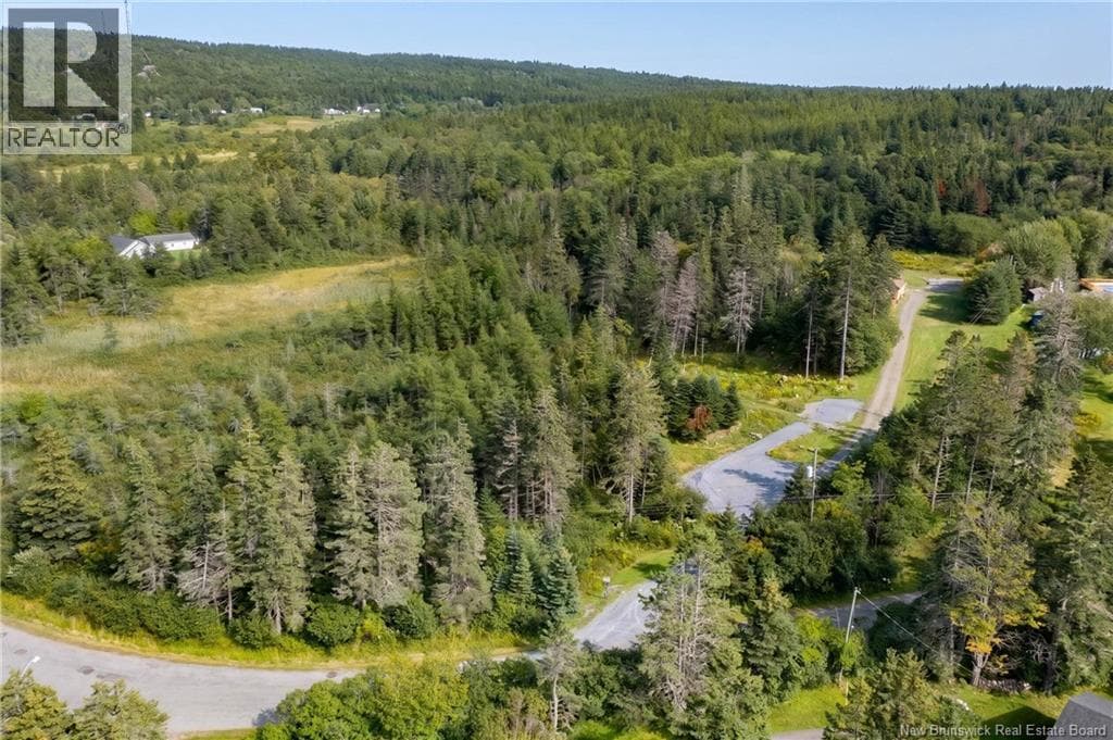 224 Anthonys Cove Road, photo 40