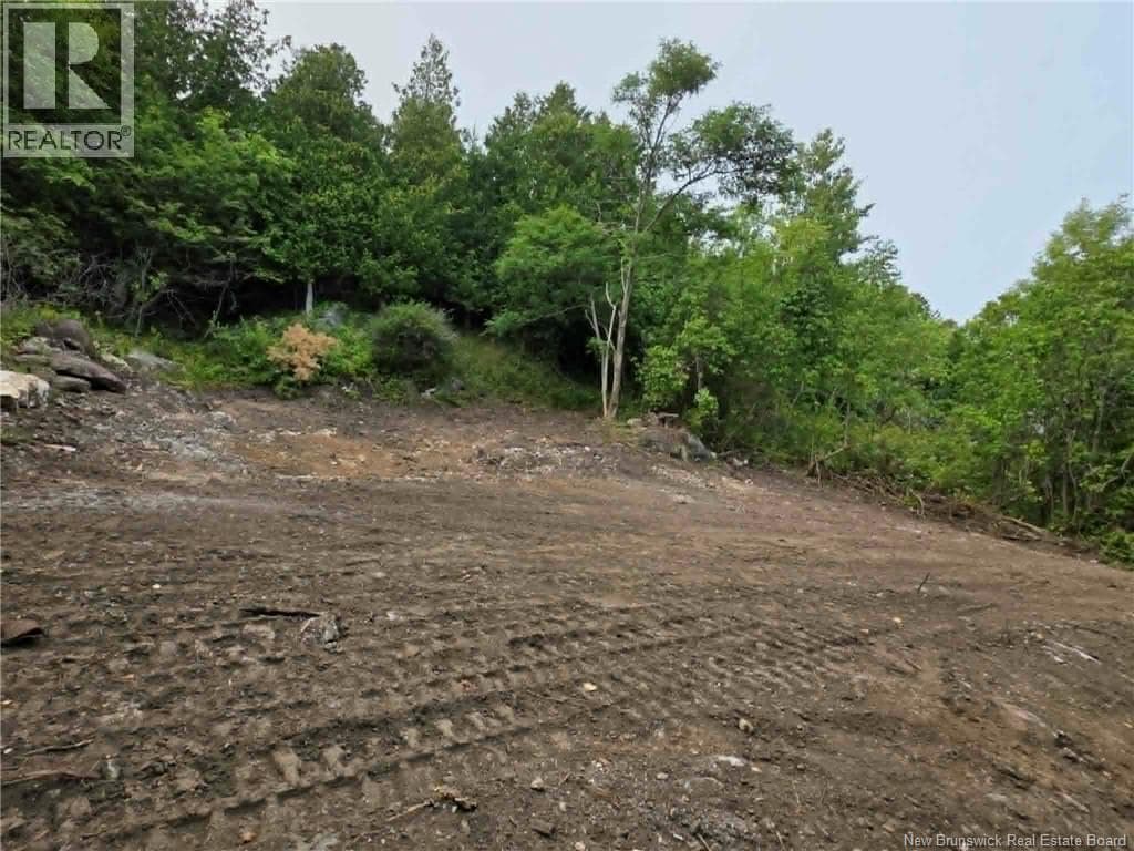 363 Highland Road, photo 4