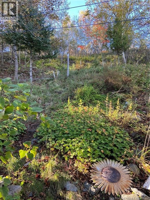 11 Rope Walk Road, photo 41