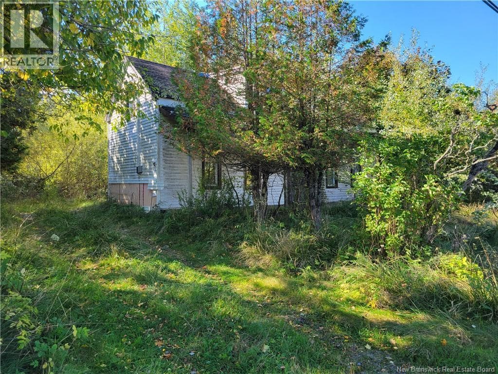 663 Bay Street, photo 2