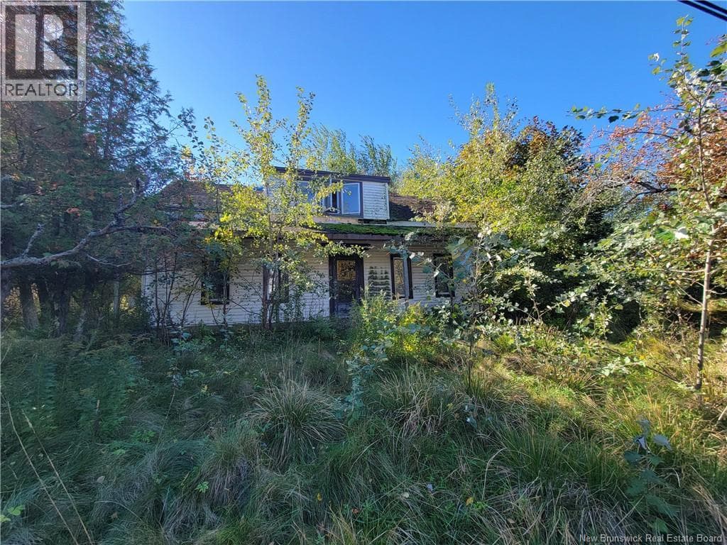 663 Bay Street, photo 3