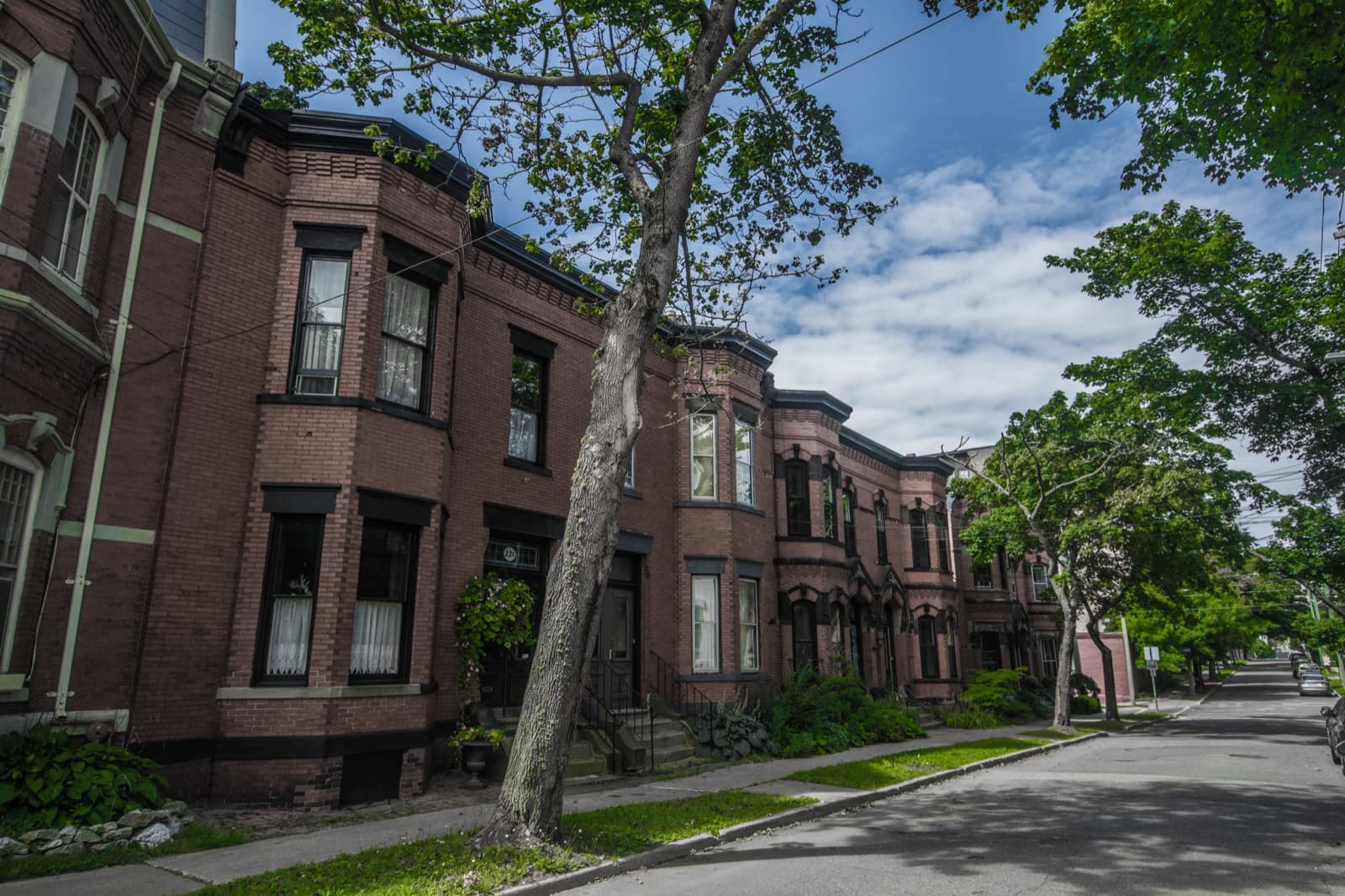 Brick row houses on a tree-lined uptown Saint John street