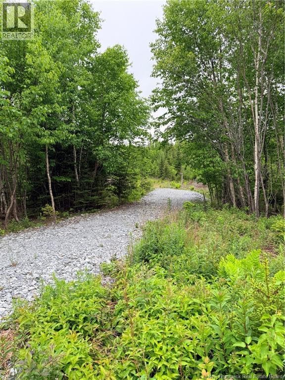Meadow Cove Road